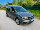 Caddy Maxi przewóz osób niepełnosprawnych - 4