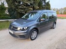 Caddy Maxi przewóz osób niepełnosprawnych - 6