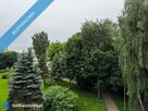 39m2 - 2 pokoje - III piętro - Spółdzielcze - Koszalińska - 9