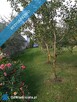 DOM NA WSI – SAD, ZIELEŃ, PRZESTRZEŃ - 15