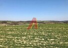 Działka rolna Brzoskwinia gm. Zabierzów, Kamyk