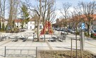 Dom Krzeszowice, Rynek