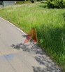 Działka budowlana Rząska gm. Zabierzów, Jodłowa - 3
