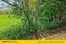 Działka 9600 m² w sercu Mazur Garbatych - 7