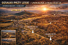 Działki przy lesie – 15 min do Kielc - 2