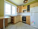 2-pokojowe 48 m, Hallera, parter z dużym balkonem - 4