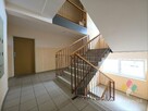2-pokojowe 48 m, Hallera, parter z dużym balkonem - 14