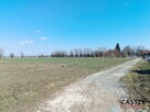 Działka budowlana Markusy, - 14