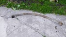 Resor dwupiorowy Fiat 125 - 2