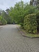 Cały odnowiony, gotowy do zamieszkania od zaraz, bezpośred. - 14