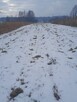 Sprzedam działki - Chełmek [ul. Paprotnik/ul. Krakowska] - 3