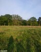 DZIAŁKA BUDOWLANA 1005 m² | WĘGROWO - 5