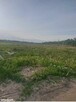 DZIAŁKA BUDOWLANA 1005 m² | WĘGROWO - 3