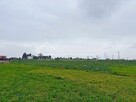 Działka budowlana Dominów gm. Głusk, Dominów - 5