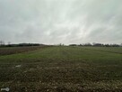 Działka Gnojno Kostera - 12