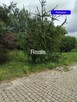 DZIAŁKA BUDOWLANA WIELGOLAS BRZEZIŃSKI, Gm HALINÓW - 5
