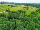 Działka rolno-budowlana Rybna gm. Czernichów - 9