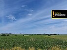 Działka budowlana Sielec gm. Staszów,
