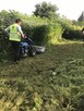 Zatrudnię osobę do koszenia traw i cięcia żywopłotów - 2