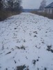 Sprzedam działki - Chełmek [ul. Paprotnik/ul. Krakowska] - 4