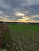 DZIAŁKA BUDOWLANA 1005 m² | WĘGROWO - 6