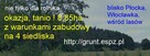 Prawie 9ha z warunkami zabudowy - 1