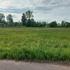 Sprzedam działki rolne - 1