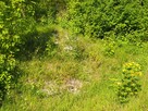 działka rekreacyjna - 4