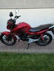 Honda CB 125 F 2022 POLIFT Raty Wysyłka TRANSPORT Największy Wybór Moto 125w PL - 5