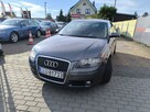 Audi A3 1.6 MPi 102KM AUTOMAT Klimatronic - 11