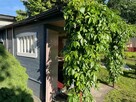 Działka ROD z altaną, Nowe Sady, Łódź Górna. - 6