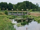 Wycieczkę rowerową do zamku w Czersku (k. Warszawy) - 4