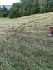 Do sprzedania