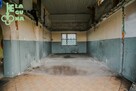 Lokal użytkowy Plecka Dąbrowa gm. Bedlno, Krajowa - 14