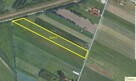 Działka rolno-budowlana Szaniawy-Poniaty gm. Trzebieszów