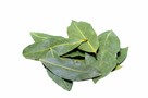 Sklep masarski domowy wyrób, jelita naturalne, przyprawy . - 7