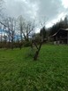Sprzedam leśniczówkę Potockich - 4
