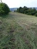 Do sprzedania - 2