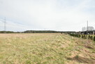 Atrakcyjne działki/spokojna lokalizacja/Jędrzychów - 4