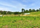 Działka budowlana 7 ar | Sanok, ul. Jastrzębia | MPZP | medi - 3