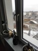 Zamienię pokój z widna kuchnią - 4