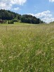 Działka budowlana Tarnawa Dolna gm. Zembrzyce - 4