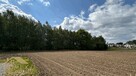 Działka budowlana Turza Śląska gm. Gorzyce - 3