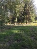 Działka budowlana Grodzisk Mazowiecki Janinów
