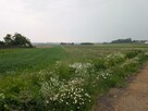 Działka budowlana Pińczyce gm. Koziegłowy