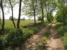 Działka nad rzeką - 6