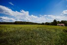 Działka budowlana Kępa Borzechowska gm. Borzechów - 4
