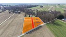 Działka budowlana Kępa Borzechowska gm. Borzechów - 4