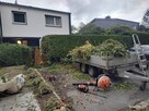 Usługi ogrodnicze na terenie Chełma i poza chełmem - 4