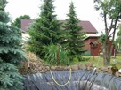 Sprzedam działke letniskową z prawem zabudowy - 5
